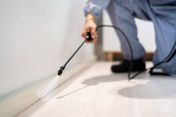 Bed Bug Pre-Treatment Preparation Assessment in Ruch