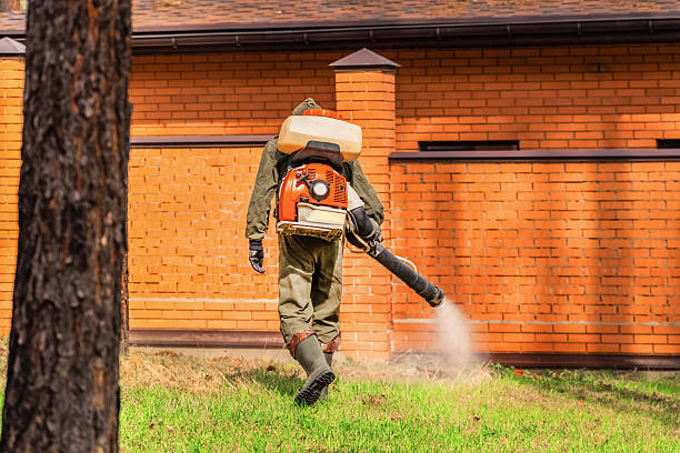 Bed Bug Clearance Verification and Documentation in Ruch